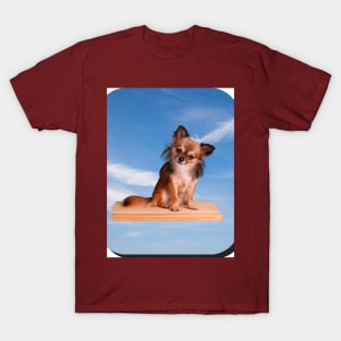 Dog on a board T-Shirt